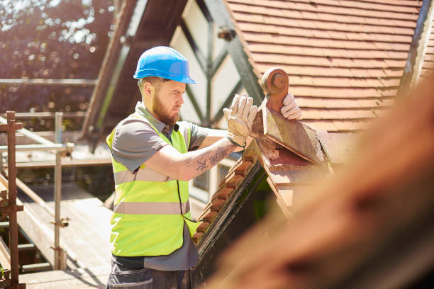 Best Gutter Installation and Roofing  in Red Bud, IL